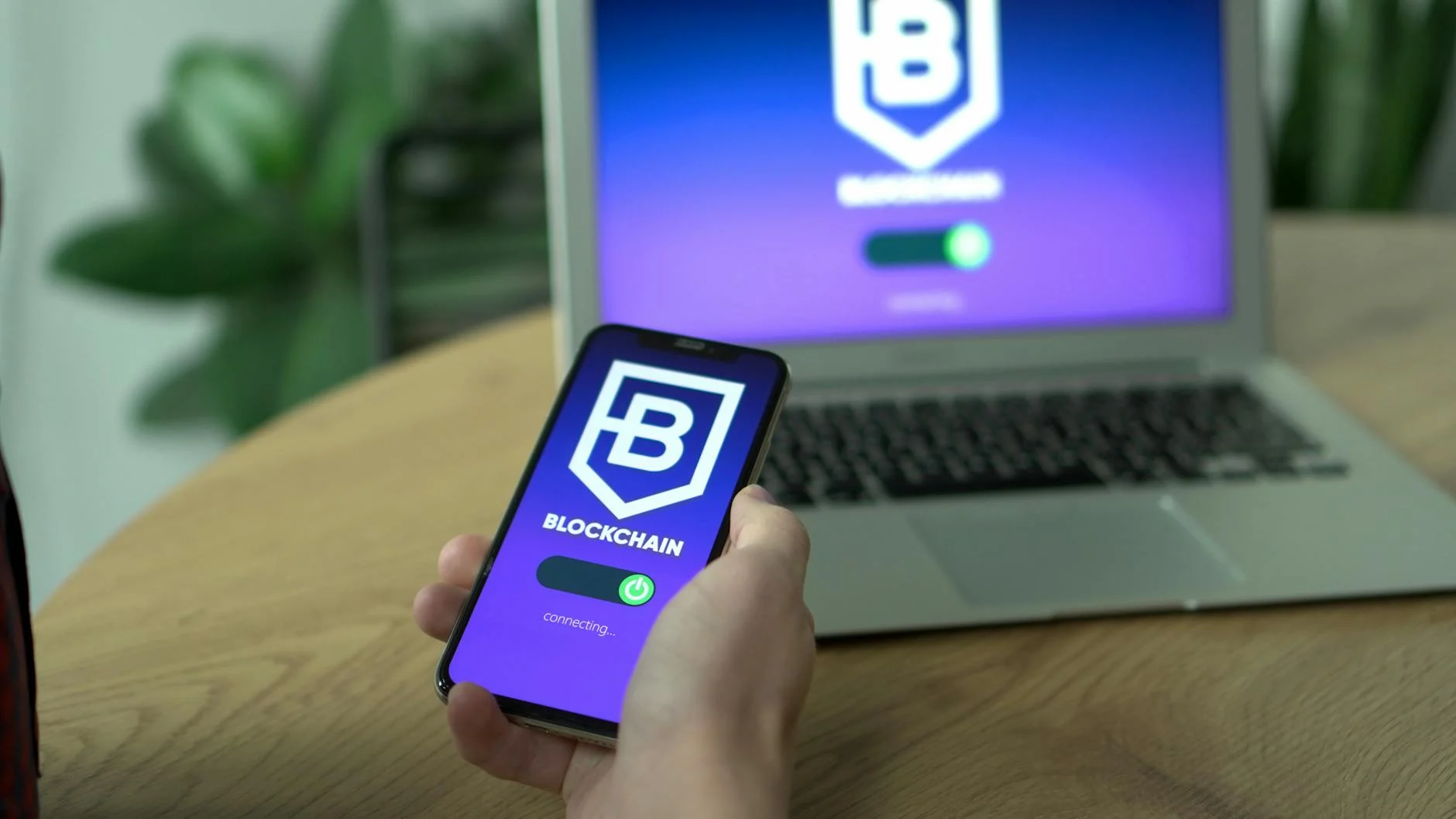 Website Crash Akibat Traffic Tinggi? Ini Solusinya!