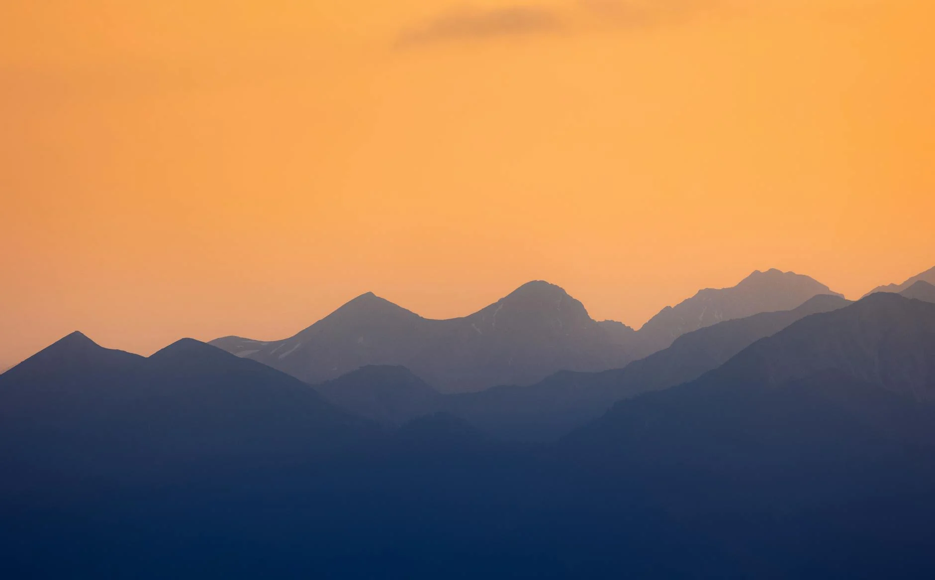 Website Sering Down? Pahami Penyebab & Solusinya untuk Pemula